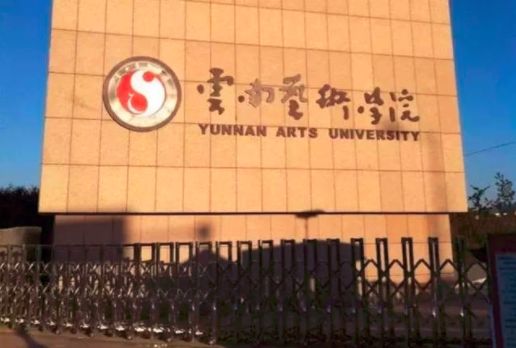 艺考 | 云南艺术学院发布2020年校考时间(图1)